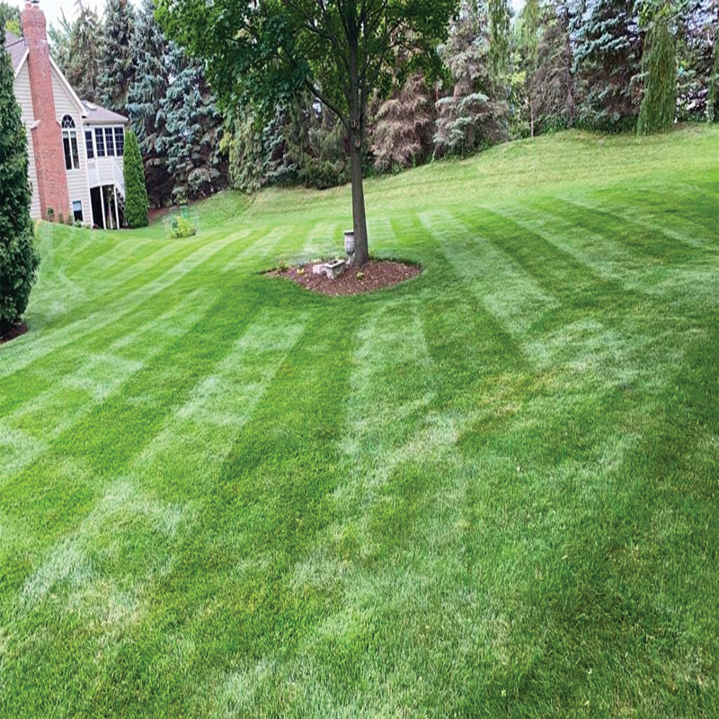 Green Season Landscape Pic-57