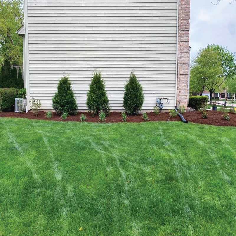 Green Season Landscape Pic-84