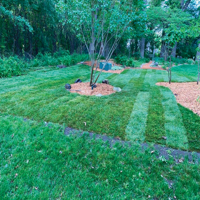 Green Season Landscape Pic-10