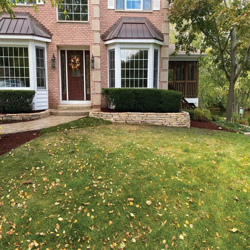 Green Season Landscape Pic-49