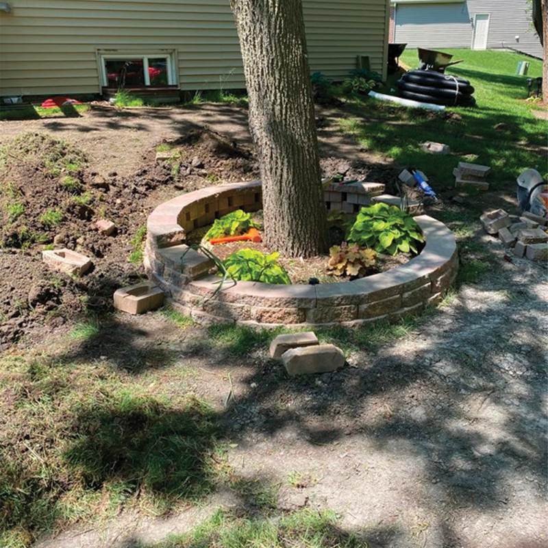 Green Season Landscape Pic-65