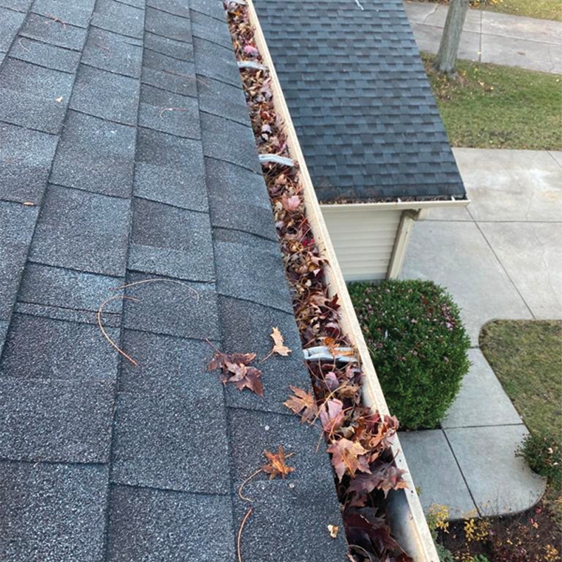 Green Season Landscape Pic-67