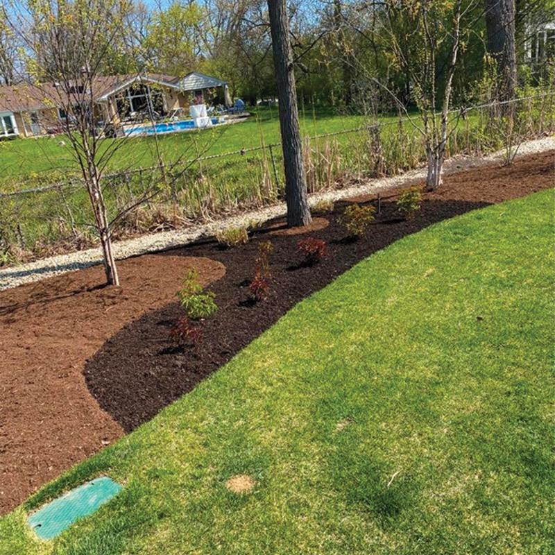 Green Season Landscape Pic-17