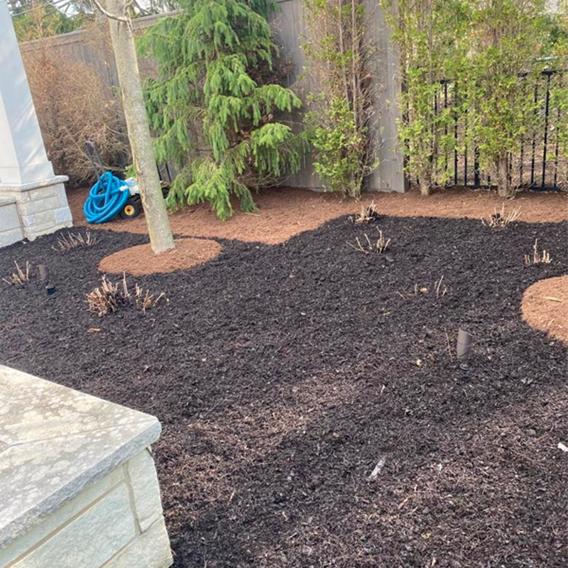 Green Season Landscape Pic-58