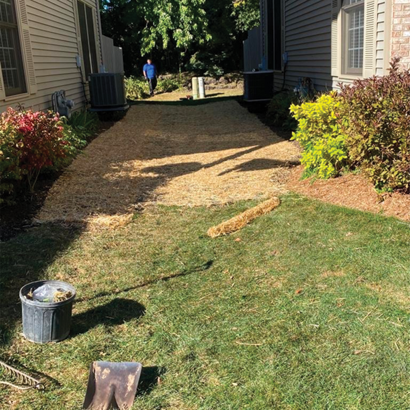 Green Season Landscape Pic-31