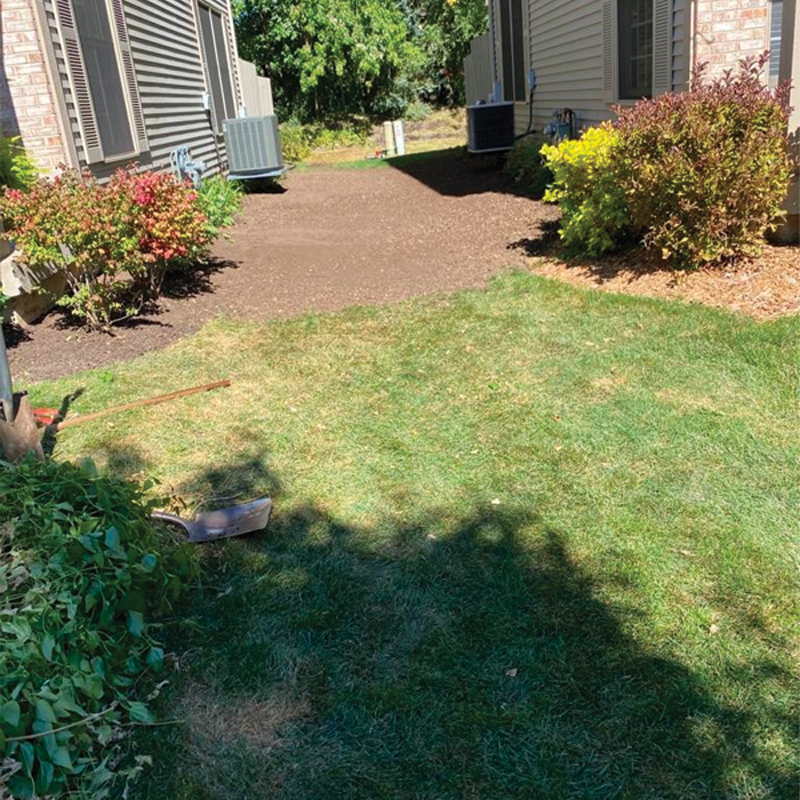 Green Season Landscape Pic-59