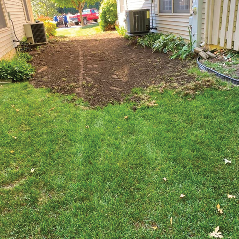 Green Season Landscape Pic-19