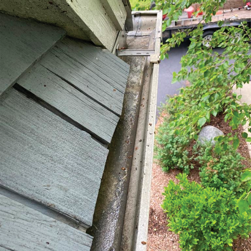 Green Season Landscape Pic-72