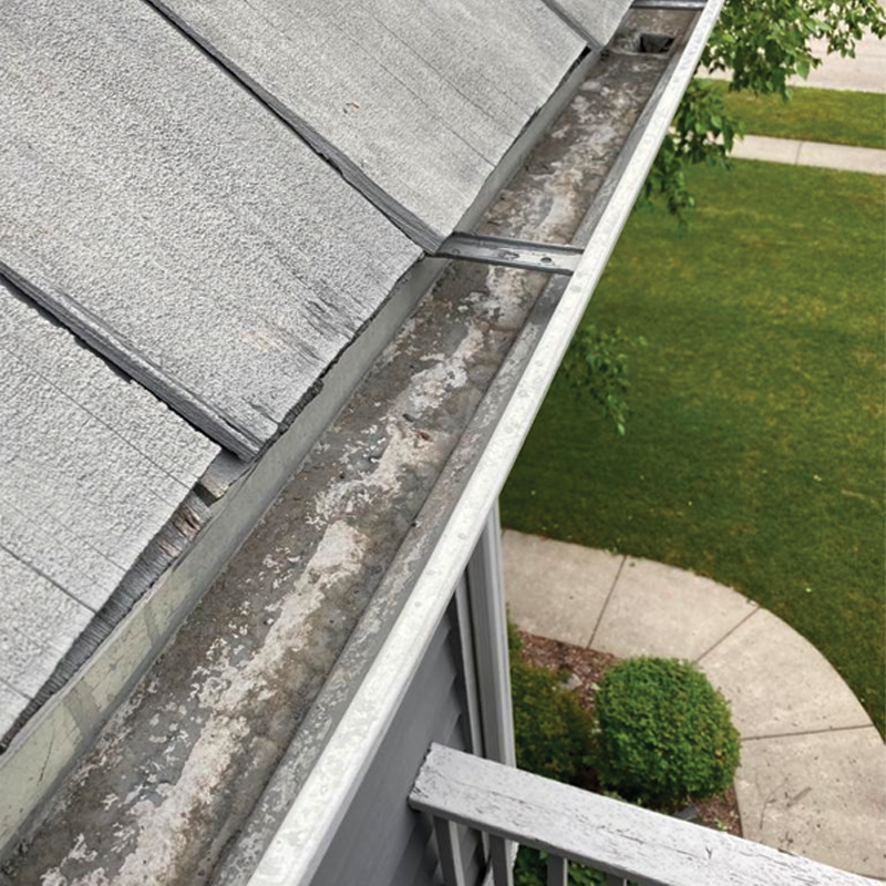 Green Season Landscape Pic-85