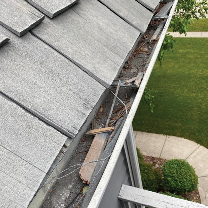 Green Season Landscape Pic-83