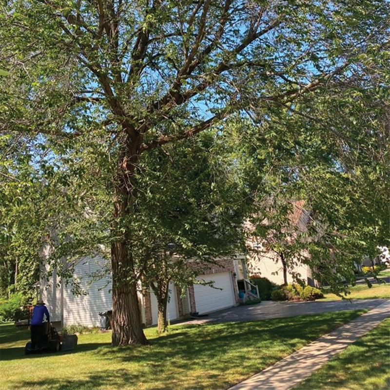 Green Season Landscape Pic-23