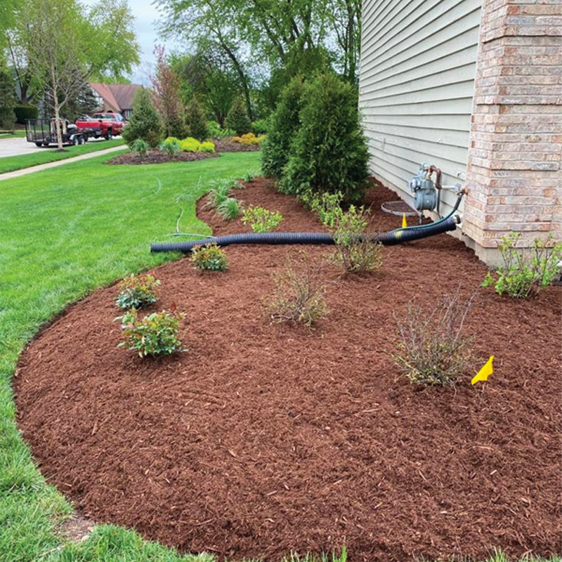 Green Season Landscape Pic-22