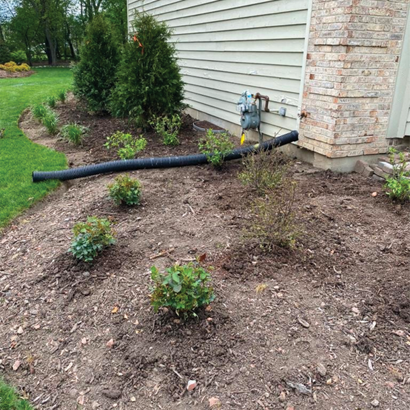 Green Season Landscape Pic-20