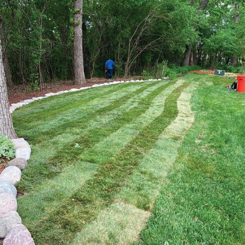 Green Season Landscape Pic-28