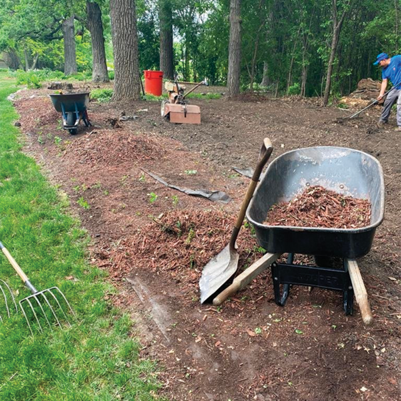 Green Season Landscape Pic-11