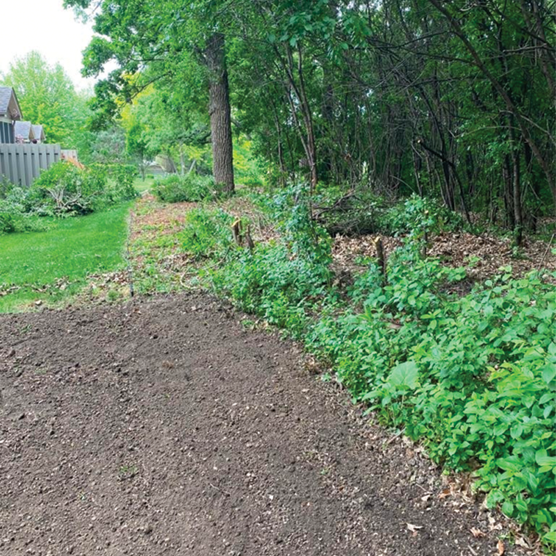 Green Season Landscape Pic-8