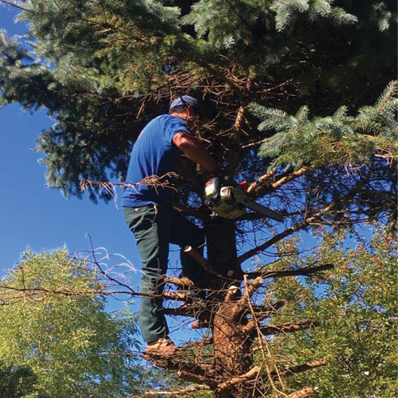 Green Season Landscape Pic-89