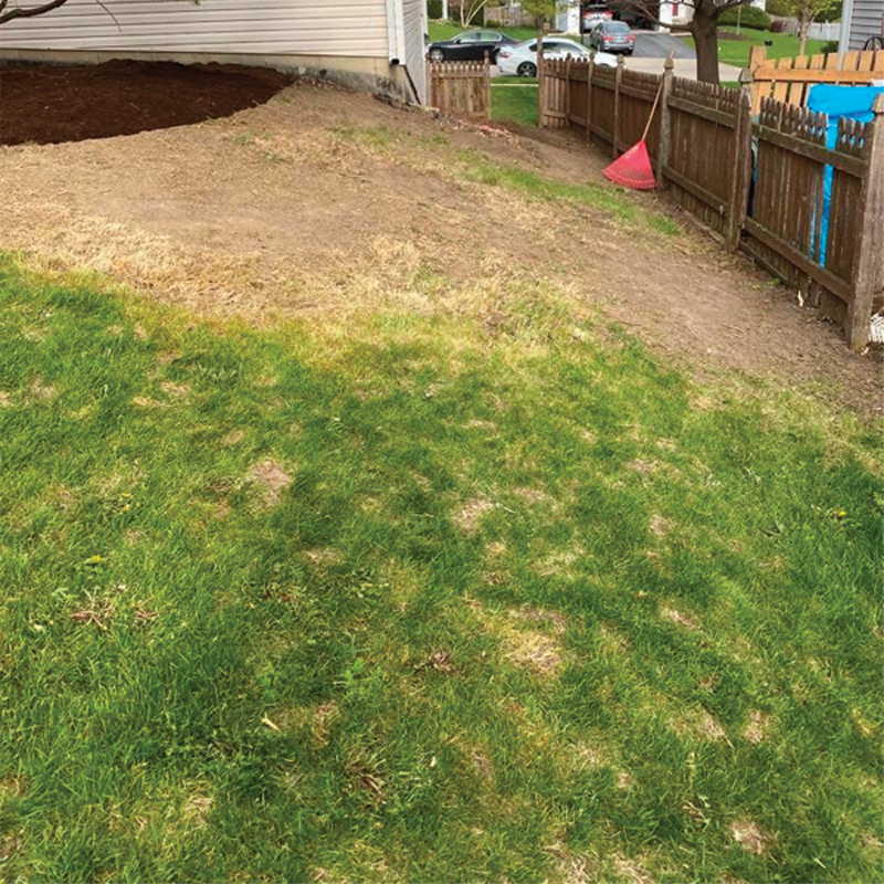 Green Season Landscape Pic-34