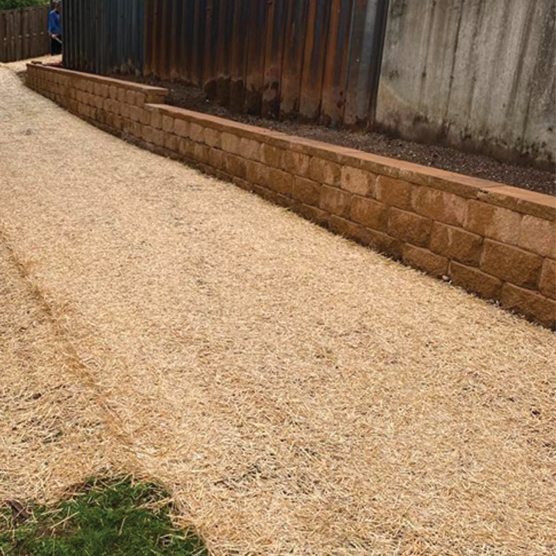 Green Season Landscape Pic-76