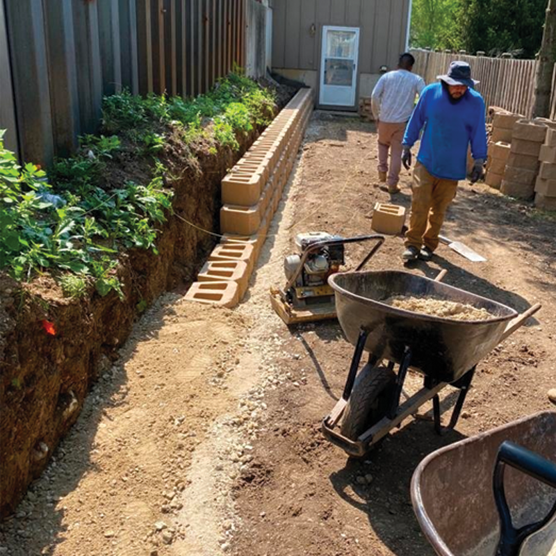 Green Season Landscape Pic-68