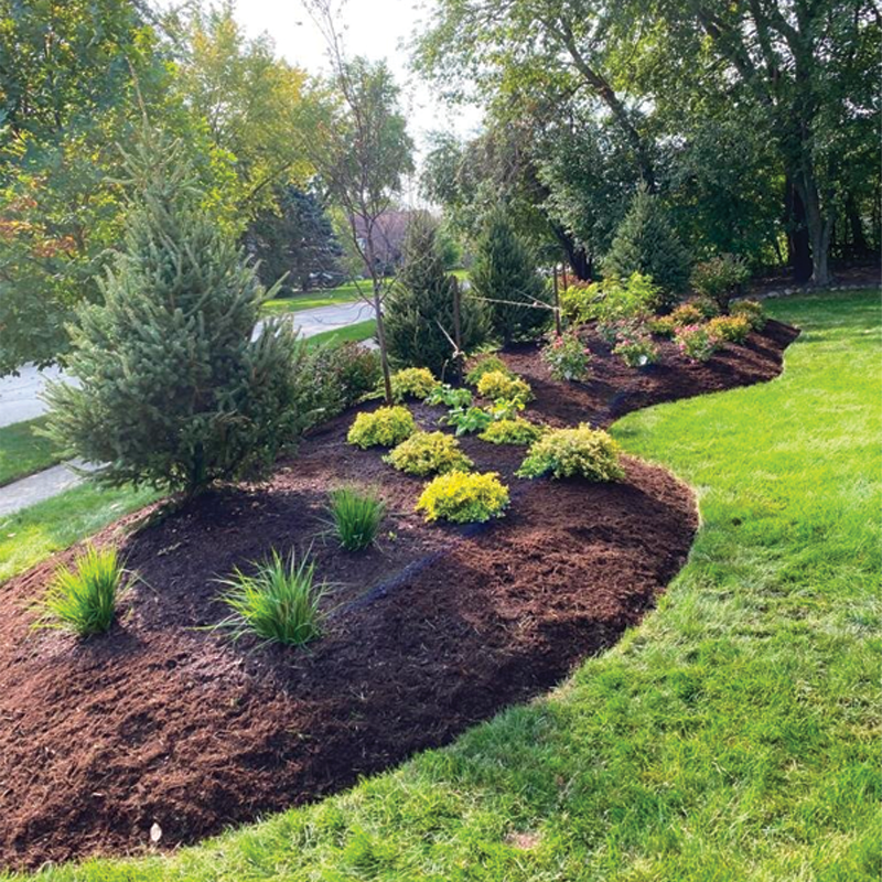 Green Season Landscape Pic-5