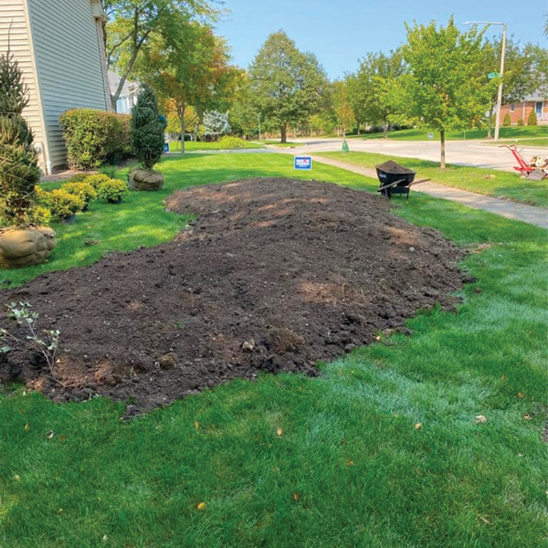 Green Season Landscape Pic-42